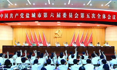 政府会议无线租赁成功案例