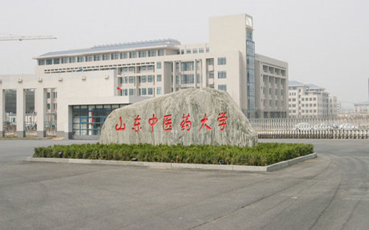山东中医药大学中心机房建设工程